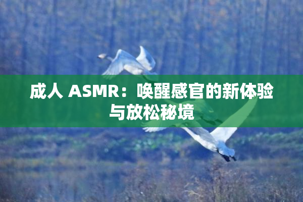 成人 ASMR：唤醒感官的新体验与放松秘境