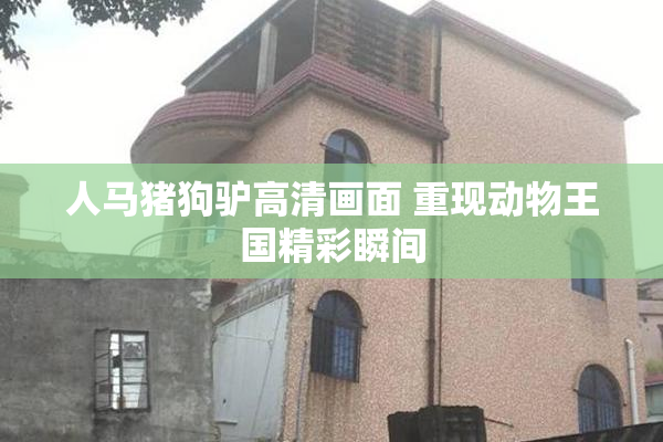 人马猪狗驴高清画面 重现动物王国精彩瞬间