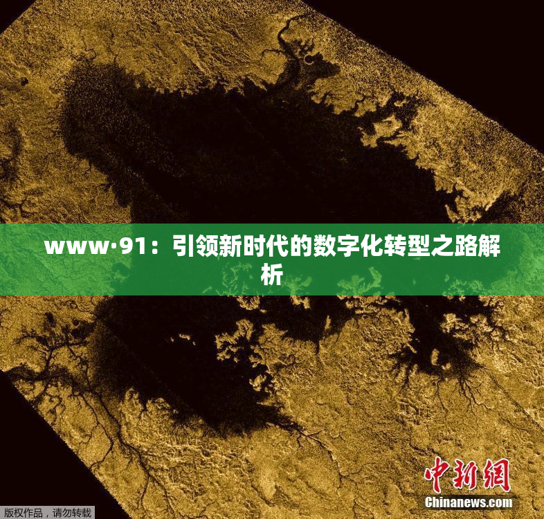 www·91：引领新时代的数字化转型之路解析