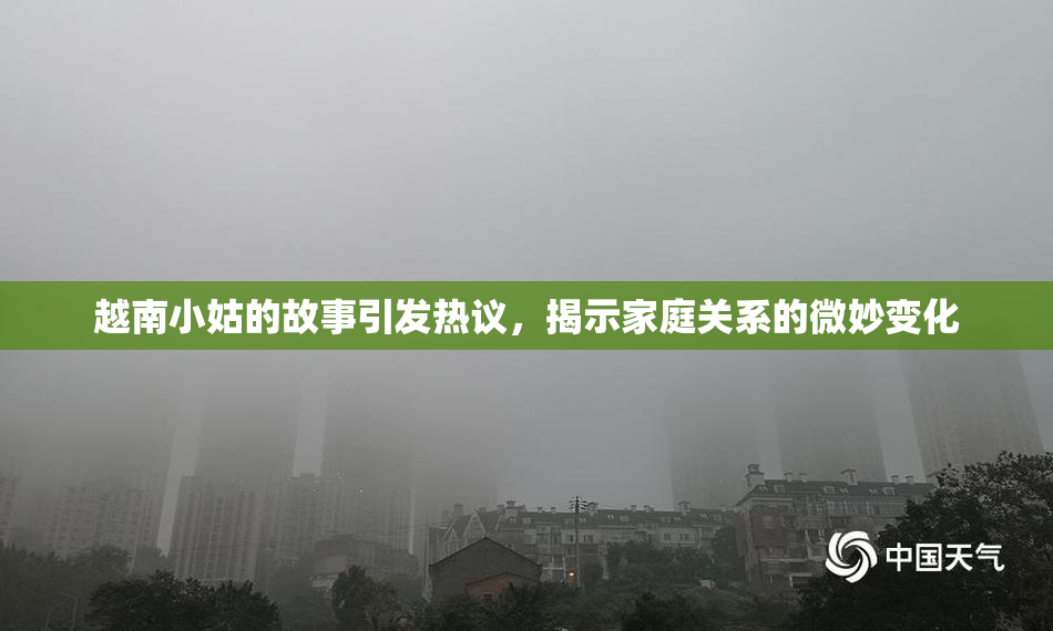 越南小姑的故事引发热议，揭示家庭关系的微妙变化