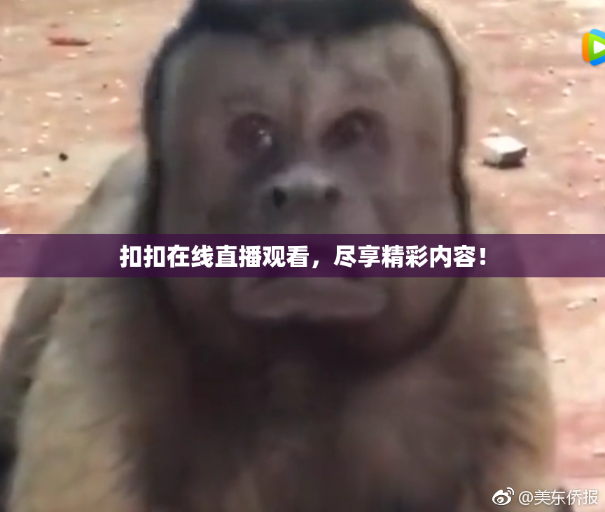 扣扣在线直播观看，尽享精彩内容！