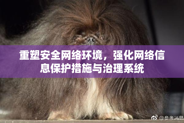 重塑安全网络环境，强化网络信息保护措施与治理系统