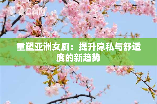 重塑亚洲女厕：提升隐私与舒适度的新趋势