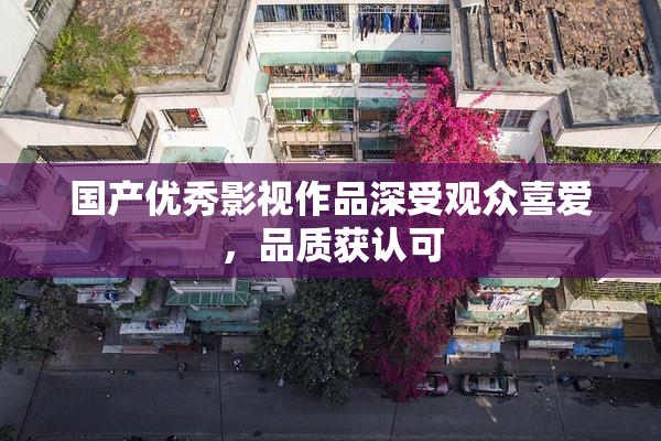 国产优秀影视作品深受观众喜爱，品质获认可