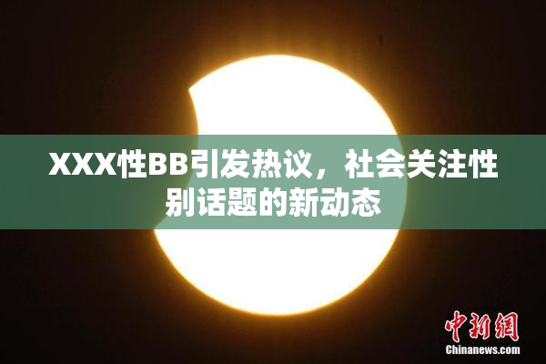 XXX性BB引发热议，社会关注性别话题的新动态