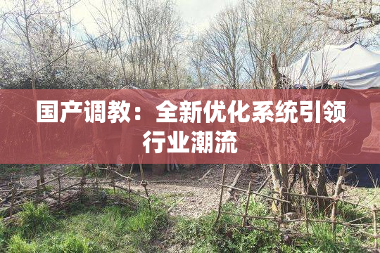 国产调教：全新优化系统引领行业潮流