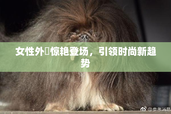 女性外夝惊艳登场，引领时尚新趋势