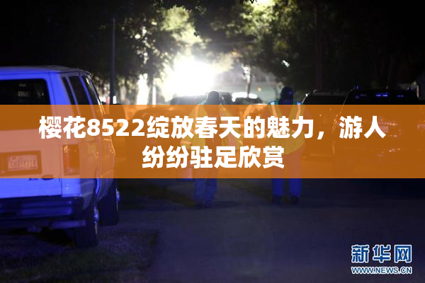 樱花8522绽放春天的魅力，游人纷纷驻足欣赏