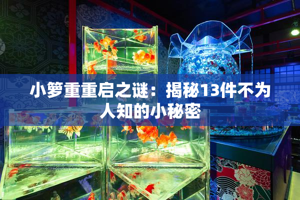 小箩重重启之谜：揭秘13件不为人知的小秘密