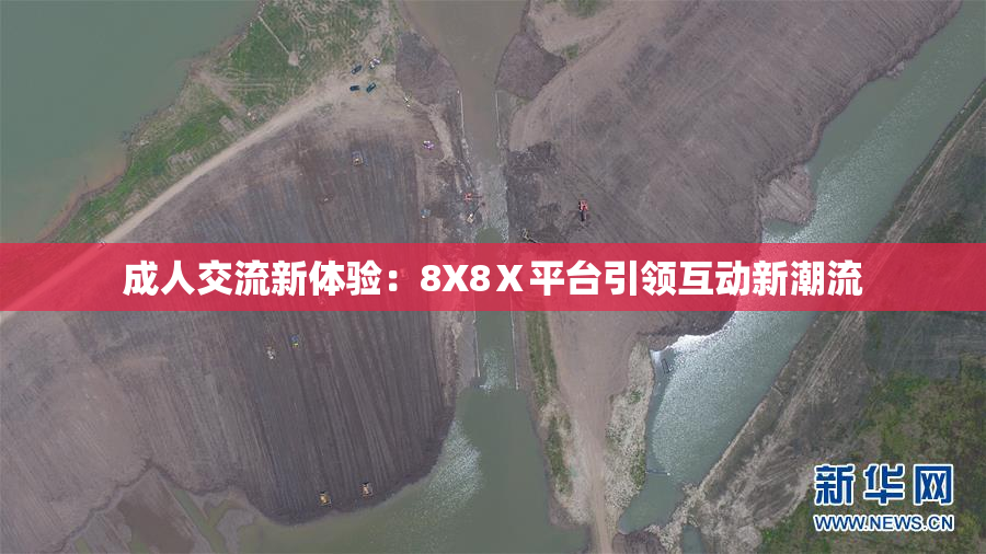 成人交流新体验：8X8Ⅹ平台引领互动新潮流