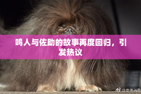 鸣人与佐助的故事再度回归，引发热议