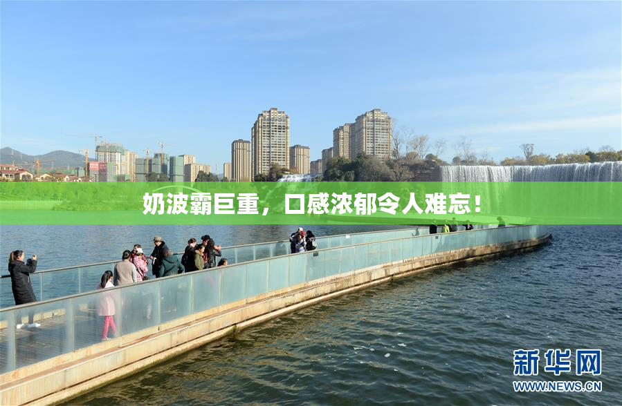 奶波霸巨重，口感浓郁令人难忘！
