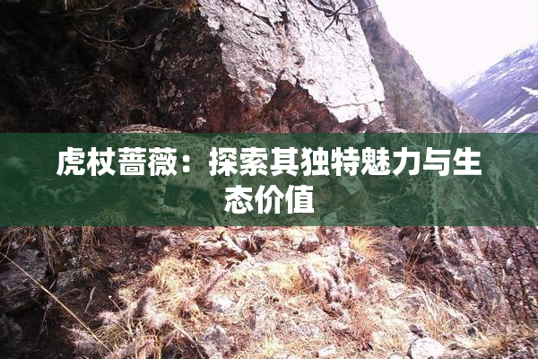 虎杖蔷薇：探索其独特魅力与生态价值