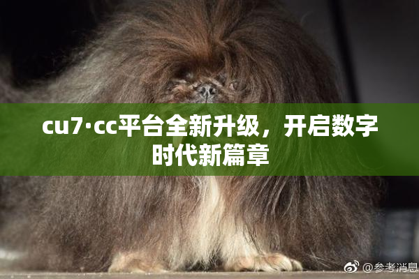 cu7·cc平台全新升级，开启数字时代新篇章