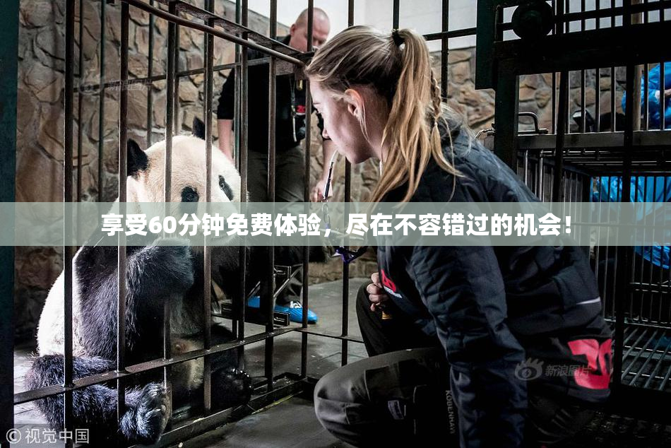 享受60分钟免费体验，尽在不容错过的机会！