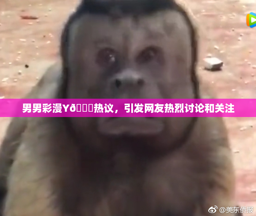男男彩漫Y🈚热议，引发网友热烈讨论和关注