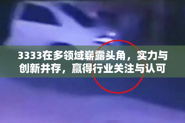 3333在多领域崭露头角，实力与创新并存，赢得行业关注与认可