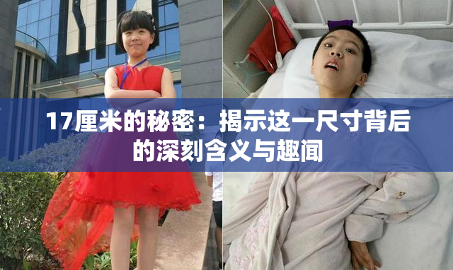 17厘米的秘密：揭示这一尺寸背后的深刻含义与趣闻