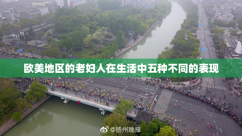 欧美地区的老妇人在生活中五种不同的表现