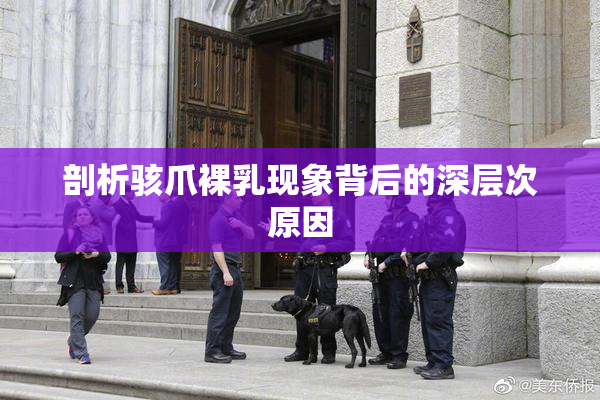 剖析骇爪裸乳现象背后的深层次原因