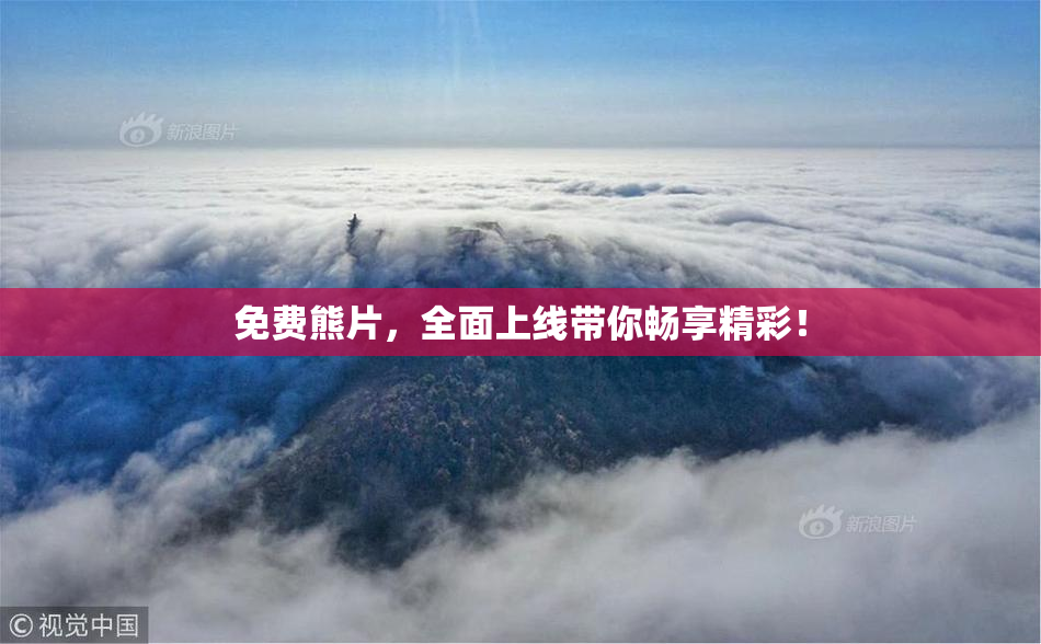 免费熊片，全面上线带你畅享精彩！
