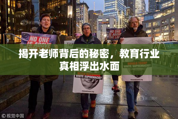 揭开老师背后的秘密，教育行业真相浮出水面