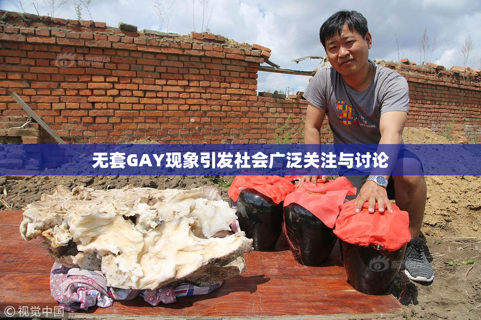 无套GAY现象引发社会广泛关注与讨论