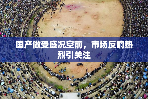 国产做受盛况空前，市场反响热烈引关注