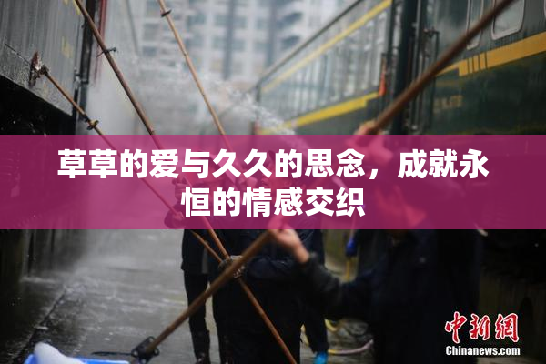 草草的爱与久久的思念，成就永恒的情感交织