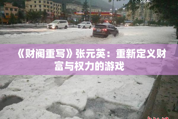 《财阀重写》张元英：重新定义财富与权力的游戏