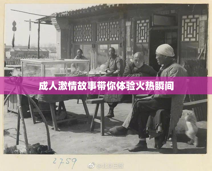 成人激情故事带你体验火热瞬间
