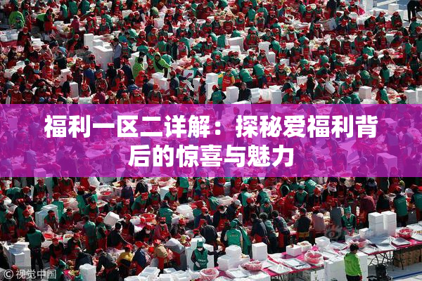 福利一区二详解：探秘爱福利背后的惊喜与魅力
