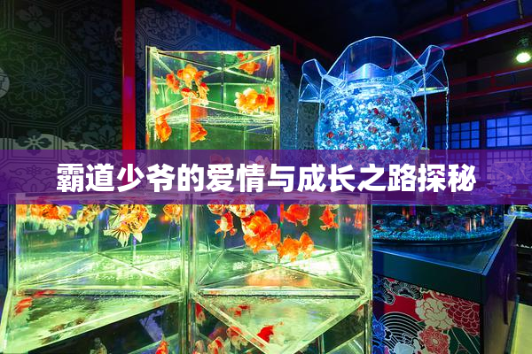 霸道少爷的爱情与成长之路探秘