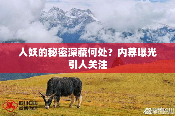 人妖的秘密深藏何处？内幕曝光引人关注