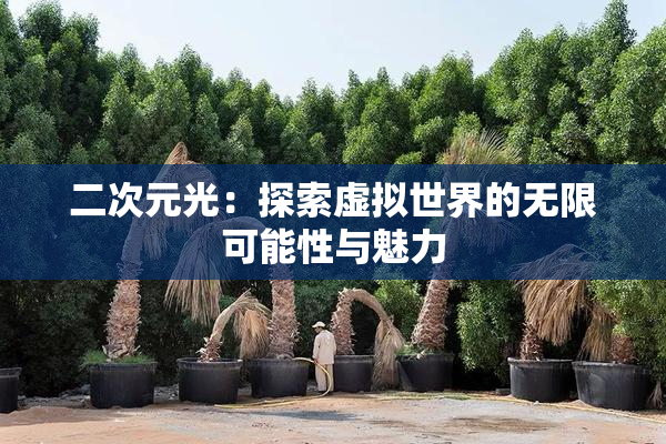 二次元光：探索虚拟世界的无限可能性与魅力