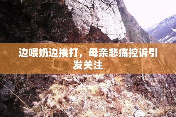 边喂奶边挨打，母亲悲痛控诉引发关注