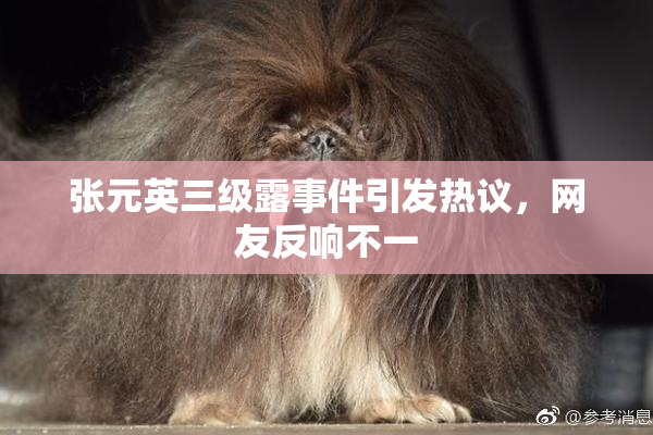 张元英三级露事件引发热议，网友反响不一