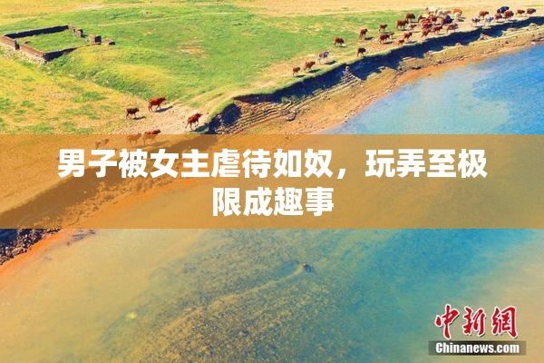 男子被女主虐待如奴，玩弄至极限成趣事