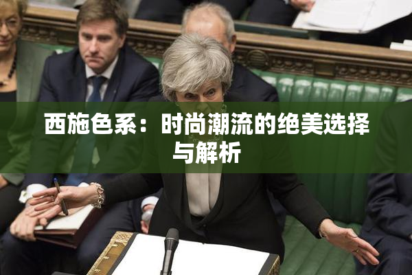 西施色系：时尚潮流的绝美选择与解析