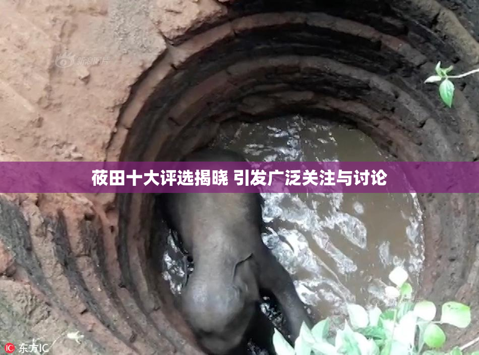 莜田十大评选揭晓 引发广泛关注与讨论