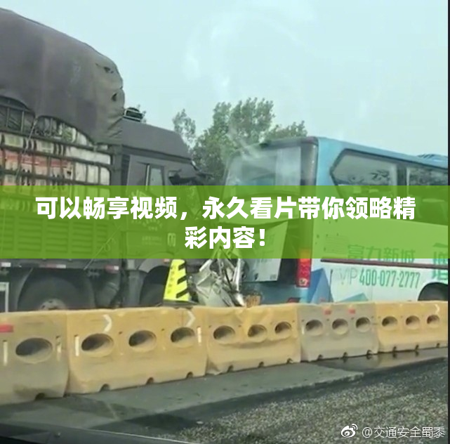 可以畅享视频，永久看片带你领略精彩内容！