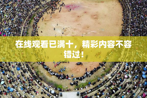 在线观看已满十，精彩内容不容错过！