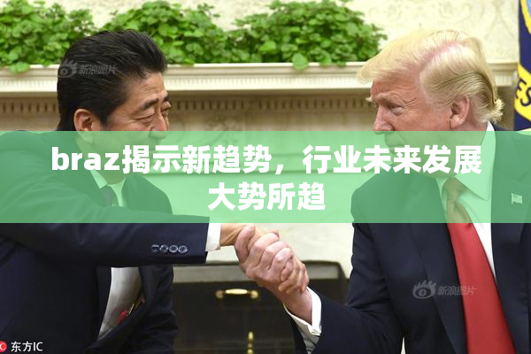 braz揭示新趋势，行业未来发展大势所趋