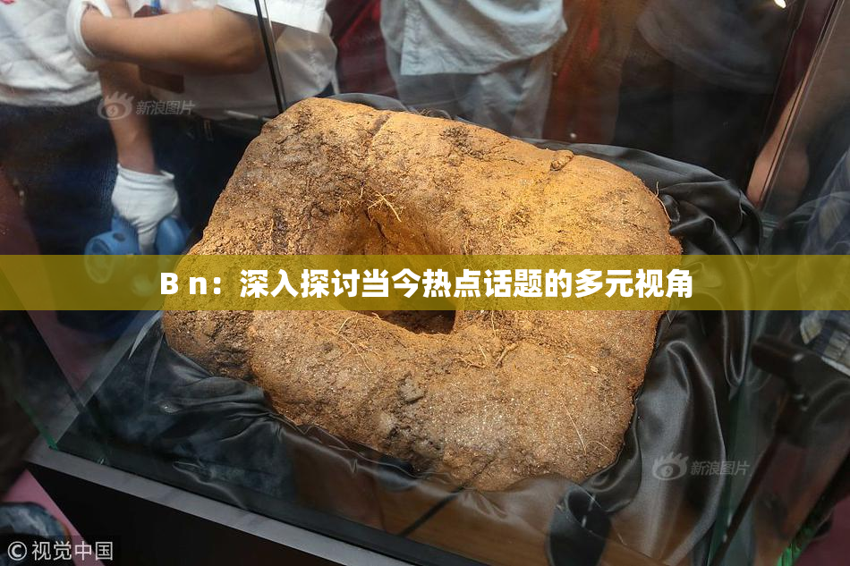 B n：深入探讨当今热点话题的多元视角