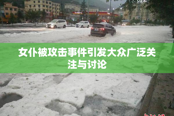 女仆被攻击事件引发大众广泛关注与讨论