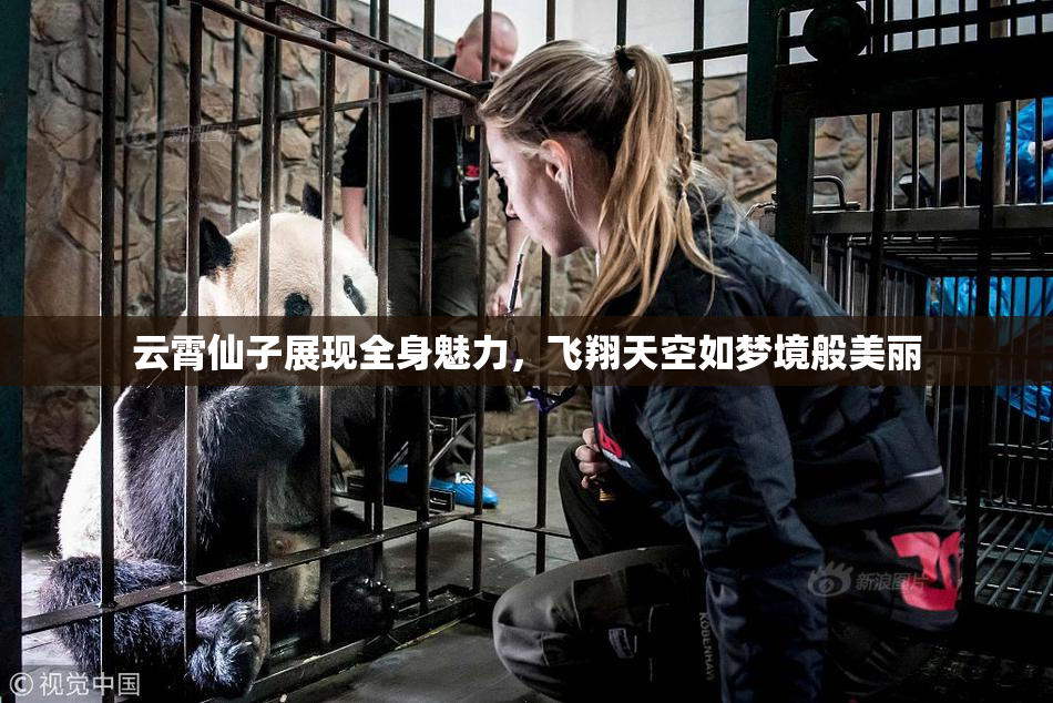 云霄仙子展现全身魅力，飞翔天空如梦境般美丽
