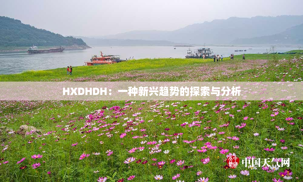 HXDHDH：一种新兴趋势的探索与分析