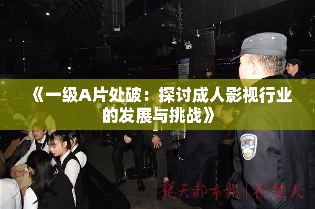 《一级A片处破：探讨成人影视行业的发展与挑战》