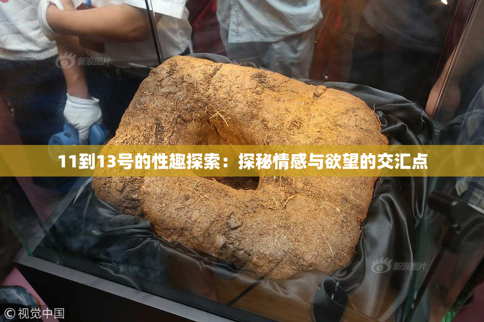 11到13号的性趣探索：探秘情感与欲望的交汇点