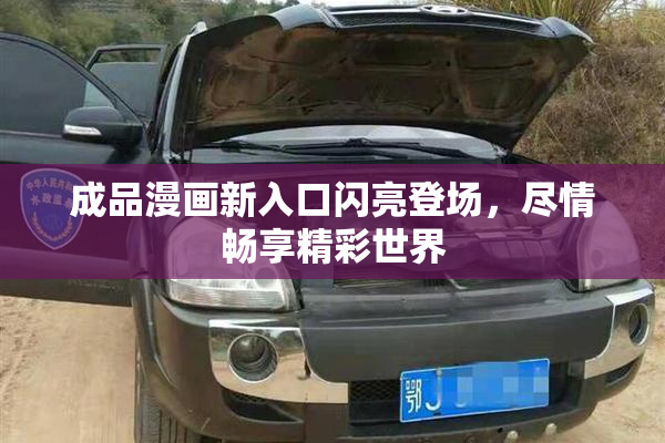 成品漫画新入口闪亮登场，尽情畅享精彩世界